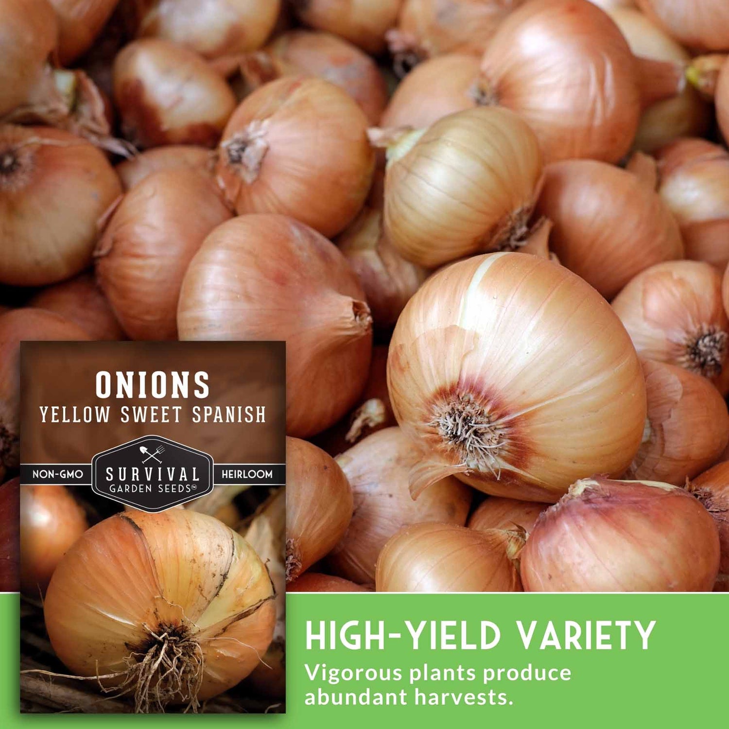 Pile of yellow sweet Spanish onions with Survival Garden Seeds label.