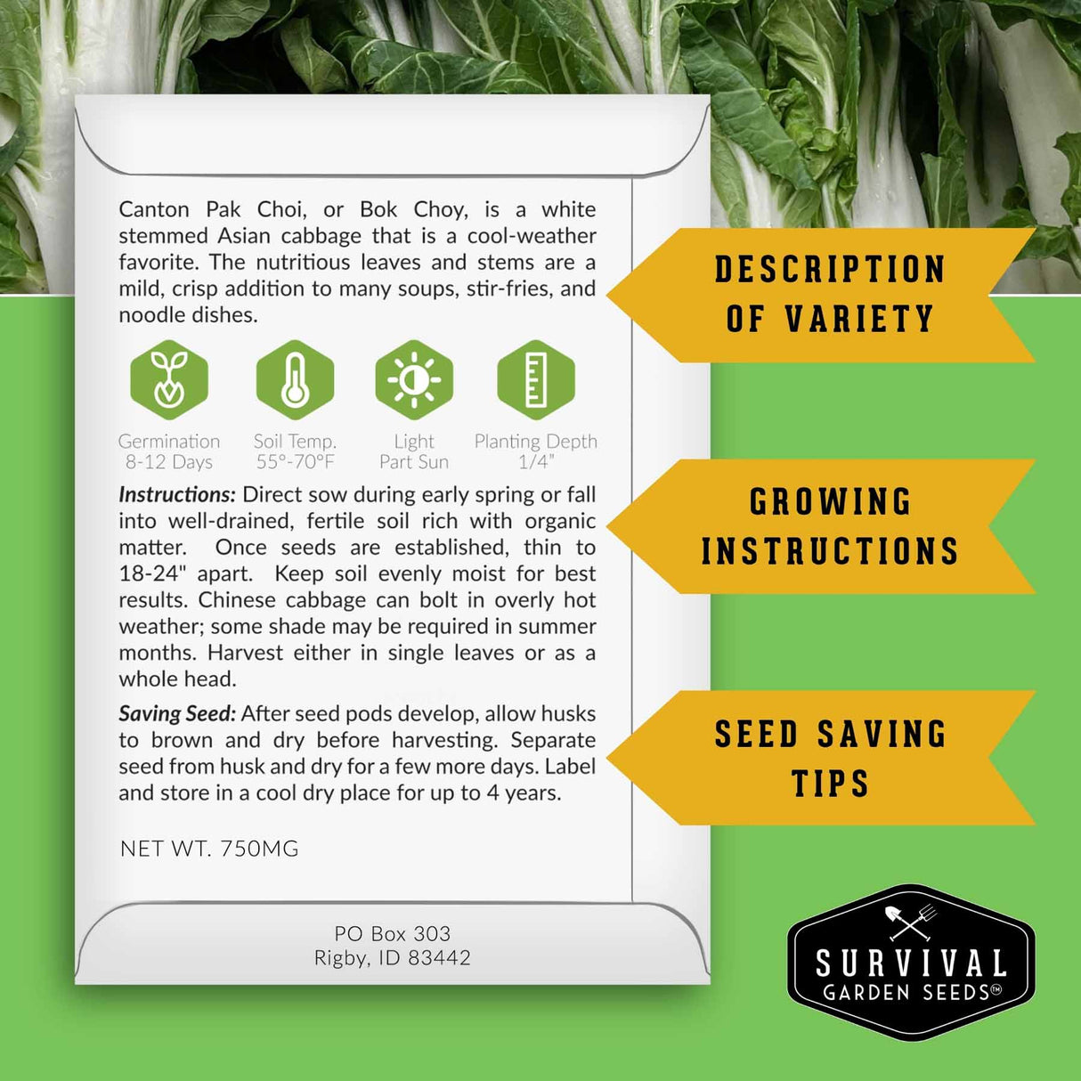 A printed seed packet for Canton Pak Choi is shown against a green leafy vegetable background. The packet contains growing instructions, seed saving tips, and variety description.