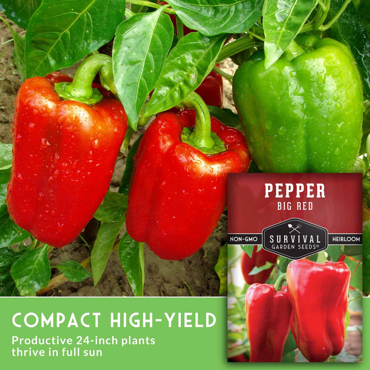 Red bell peppers with text that says Compact High Yield