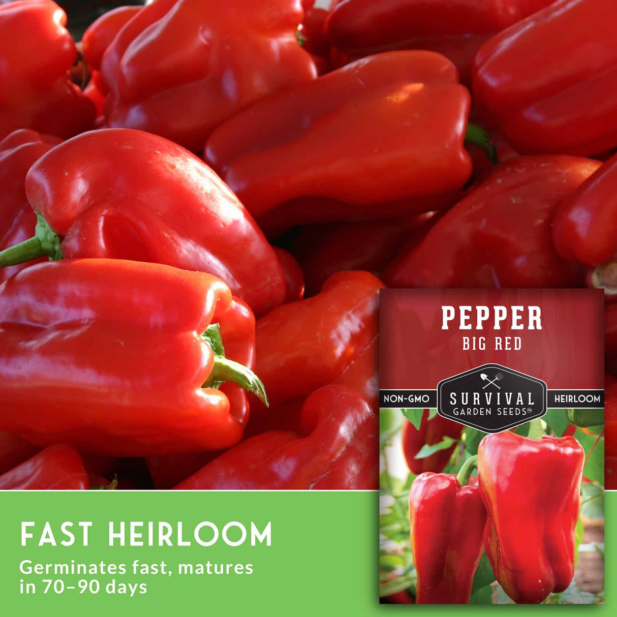 Big red bell peppers with text that says Fast Heirloom