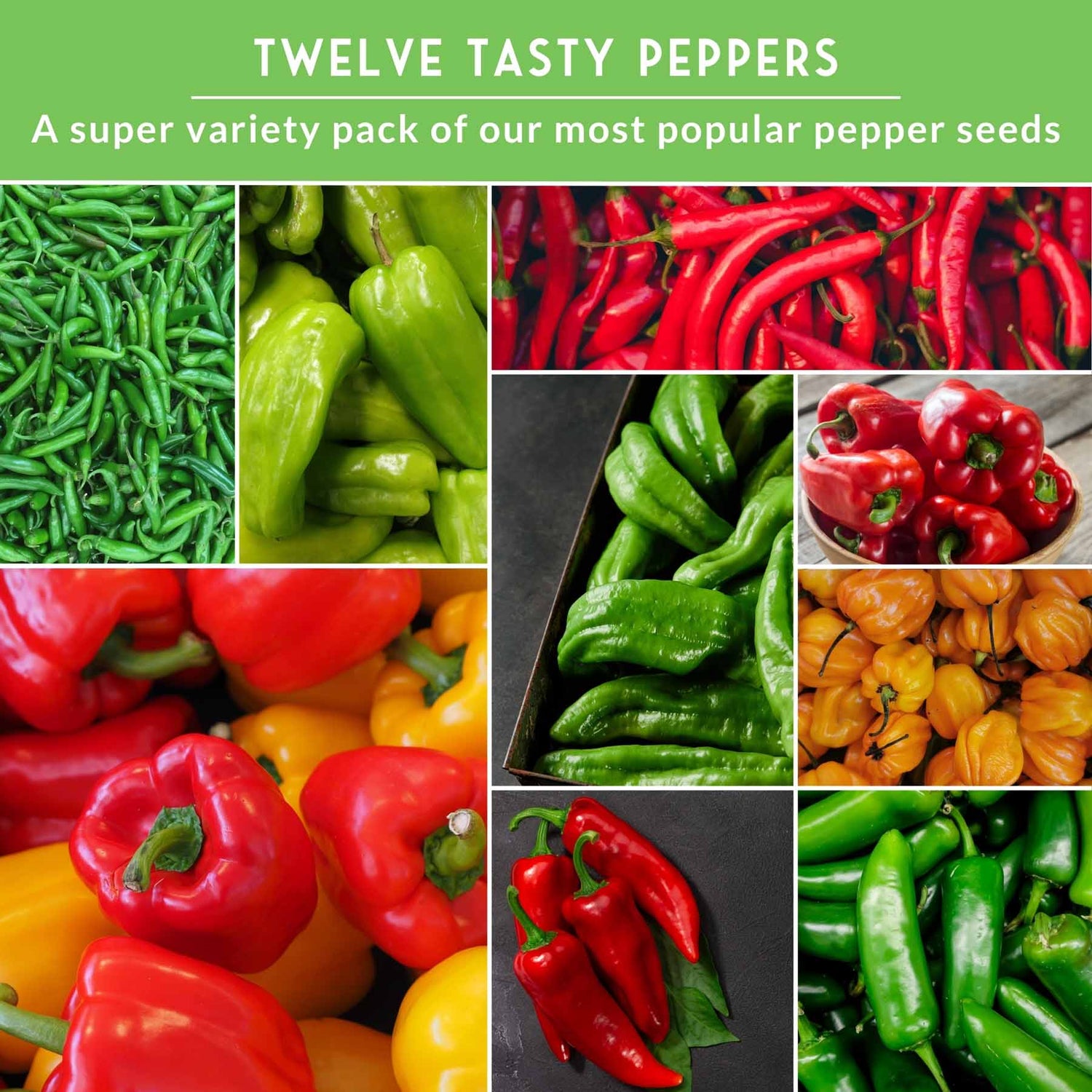 Collage of various types of peppers with text 'Twelve Tasty Peppers' on a green background.