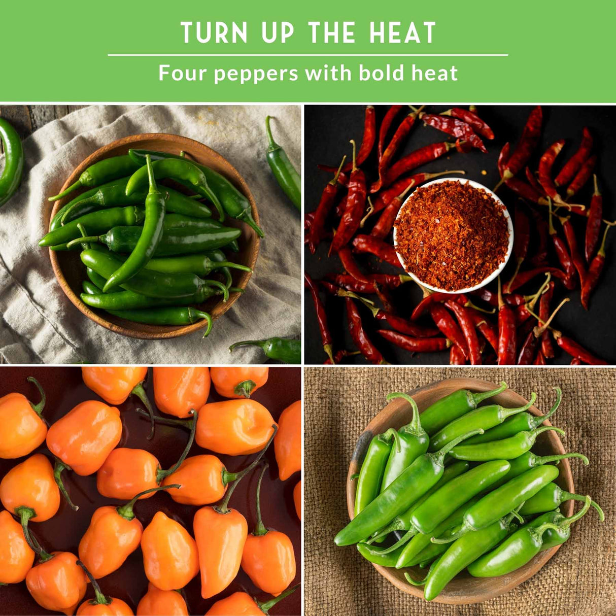Collage of four types of peppers with text 'Turn up the Heat' and 'Four peppers with bold heat'.