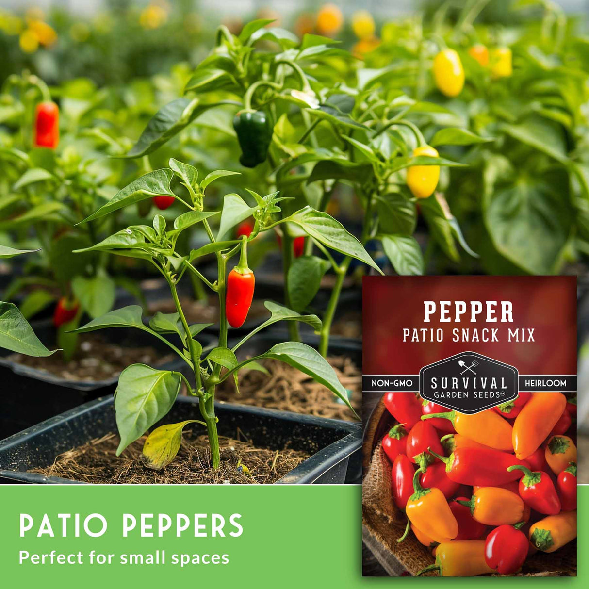 Pepper plants with red and yellow peppers and a seed packet labeled 'Pepper Patio Snack Mix' on a blurred garden background.