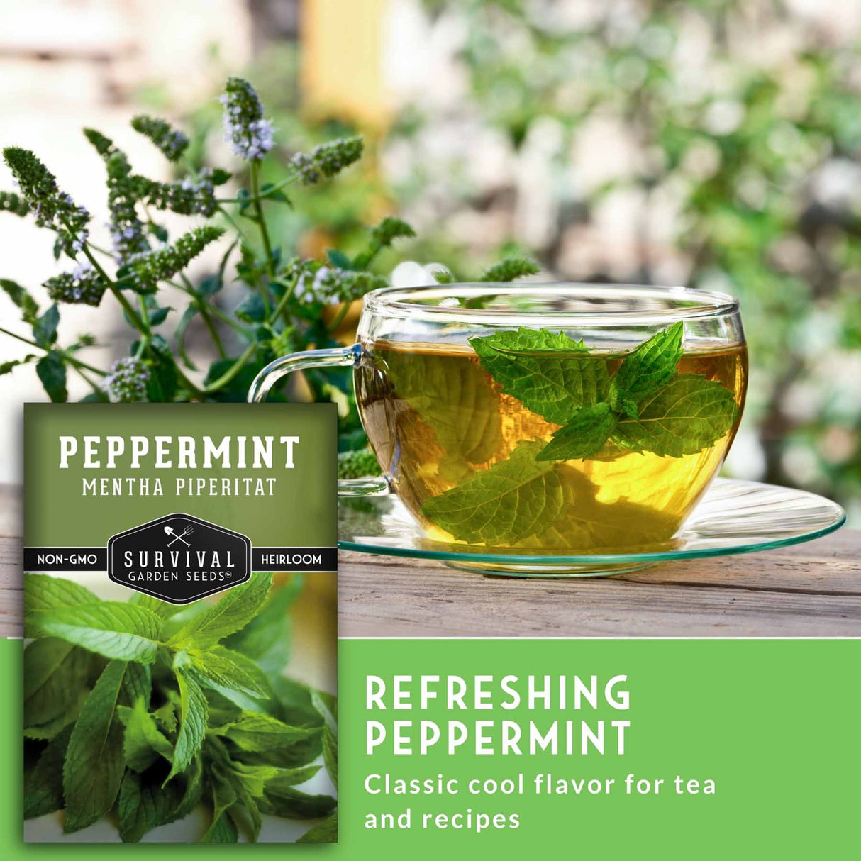 Glass mug of peppermint tea with a packet of Survival Garden Seeds peppermint seeds on a wooden surface.