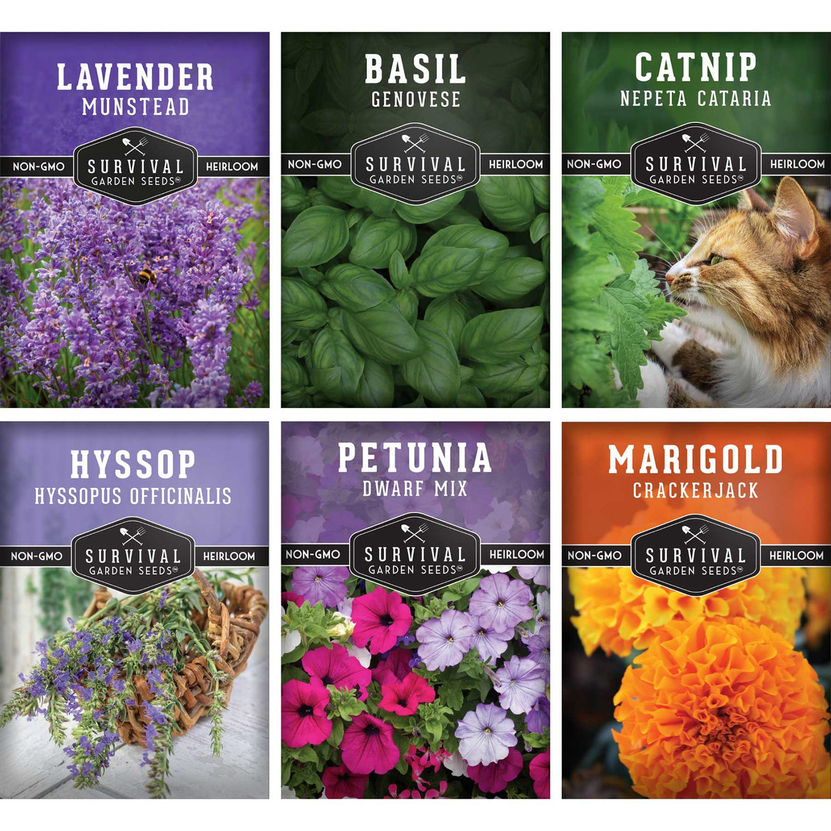 Pest Defense Seed collection - 6 packets of seeds for flowers and herbs that repel pests