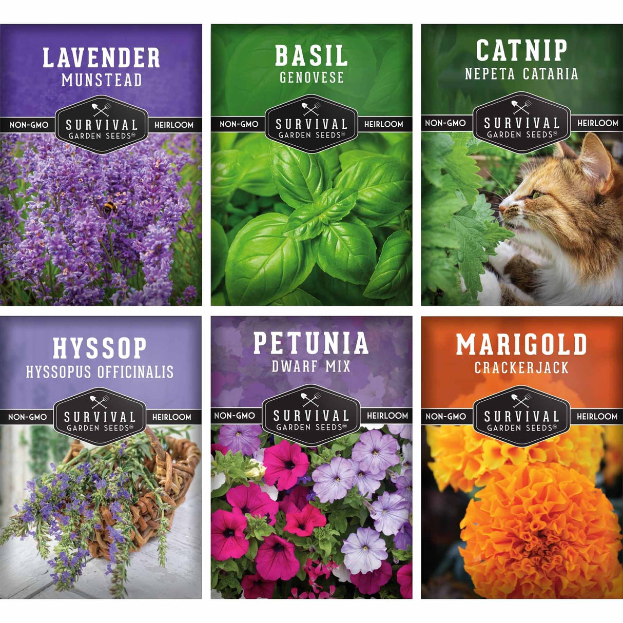 Six seed packet designs arranged in a 2x3 grid, each showing a different herb or flower variety: lavender, basil, catnip, hyssop, petunia, and marigold. Each packet includes the Survival Garden Seeds branding and a photo of the plant or flower.