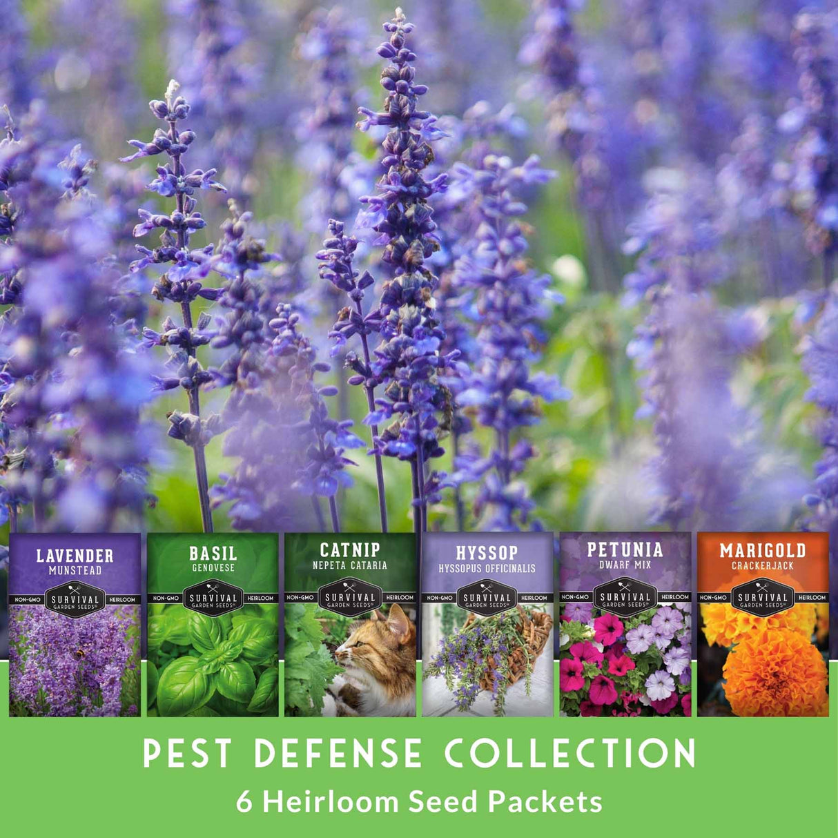 A promotional graphic for the Survival Pest Defense Collection, showing six seed packet cards for lavender, basil, catnip, hyssop, petunia, and marigold flowers against a blurred purple lavender field background. A green banner at the bottom reads 'PEST DEFENSE COLLECTION 6 Heirloom Seed Packets'.