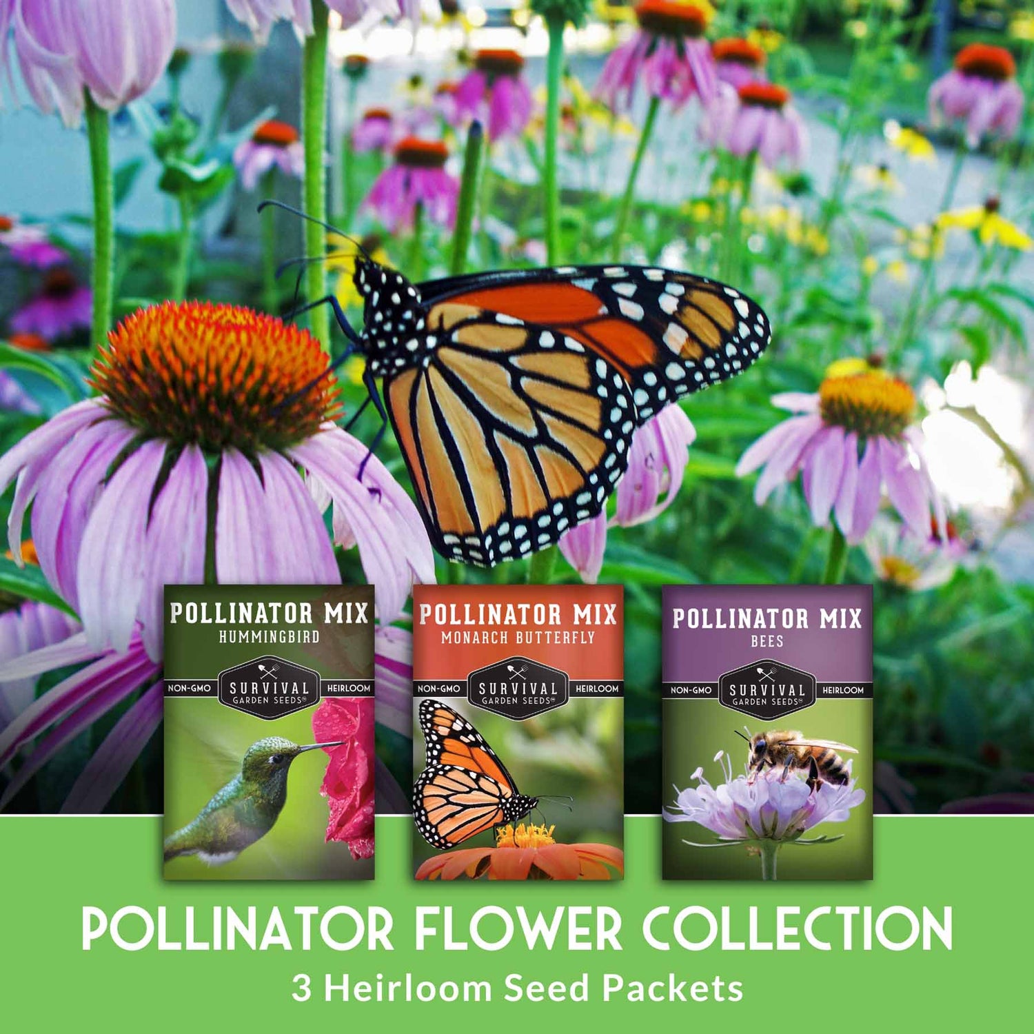Three heirloom seed packets for pollinator flowers with a butterfly on flowers in the background.