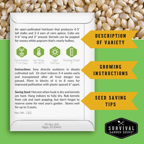 Seed packet for popcorn with growing instructions and seed saving tips on a green background