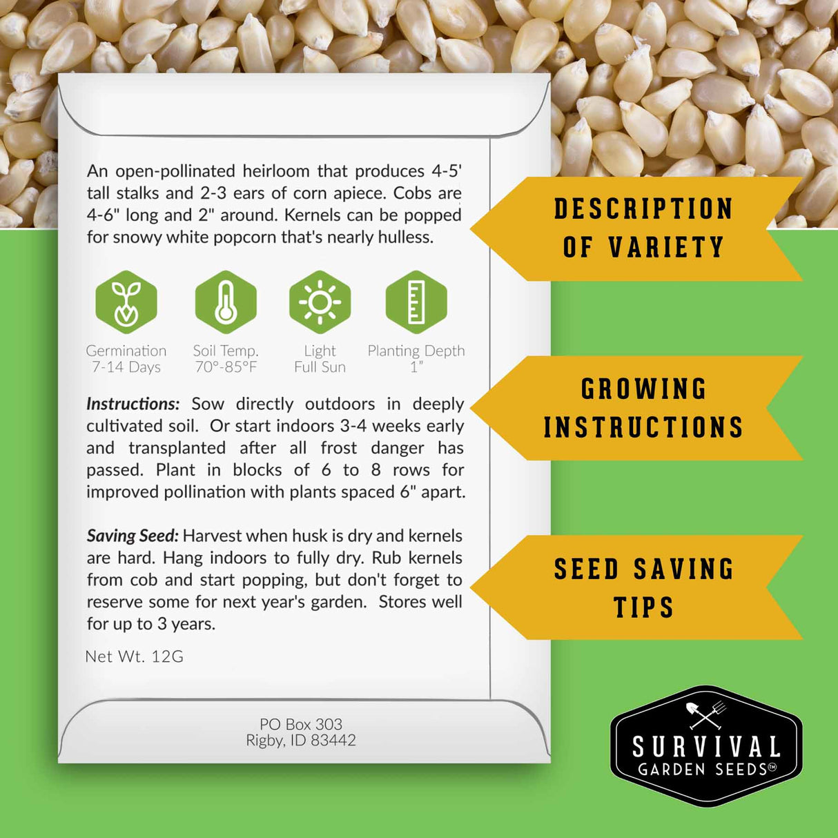 Seed packet for popcorn with growing instructions and seed saving tips on a green background