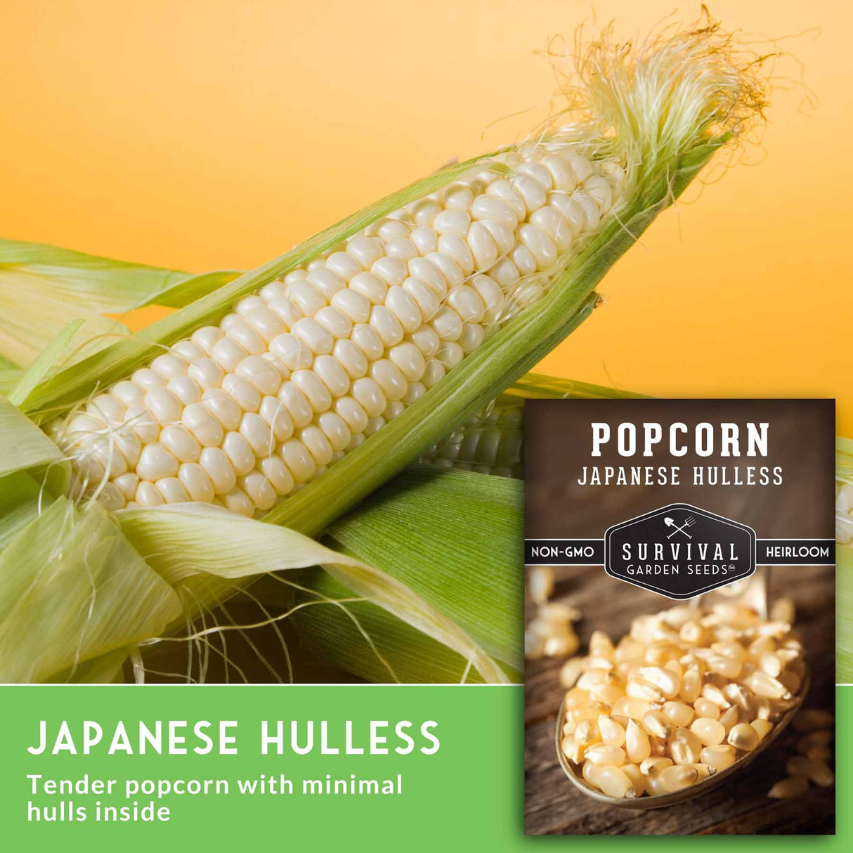 Corn on the cob with a package of Survival Garden Seeds Japanese Hulless popcorn on a yellow background