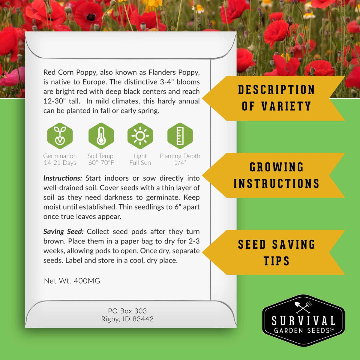 Informational back of seed packet with growing and seed saving instructions