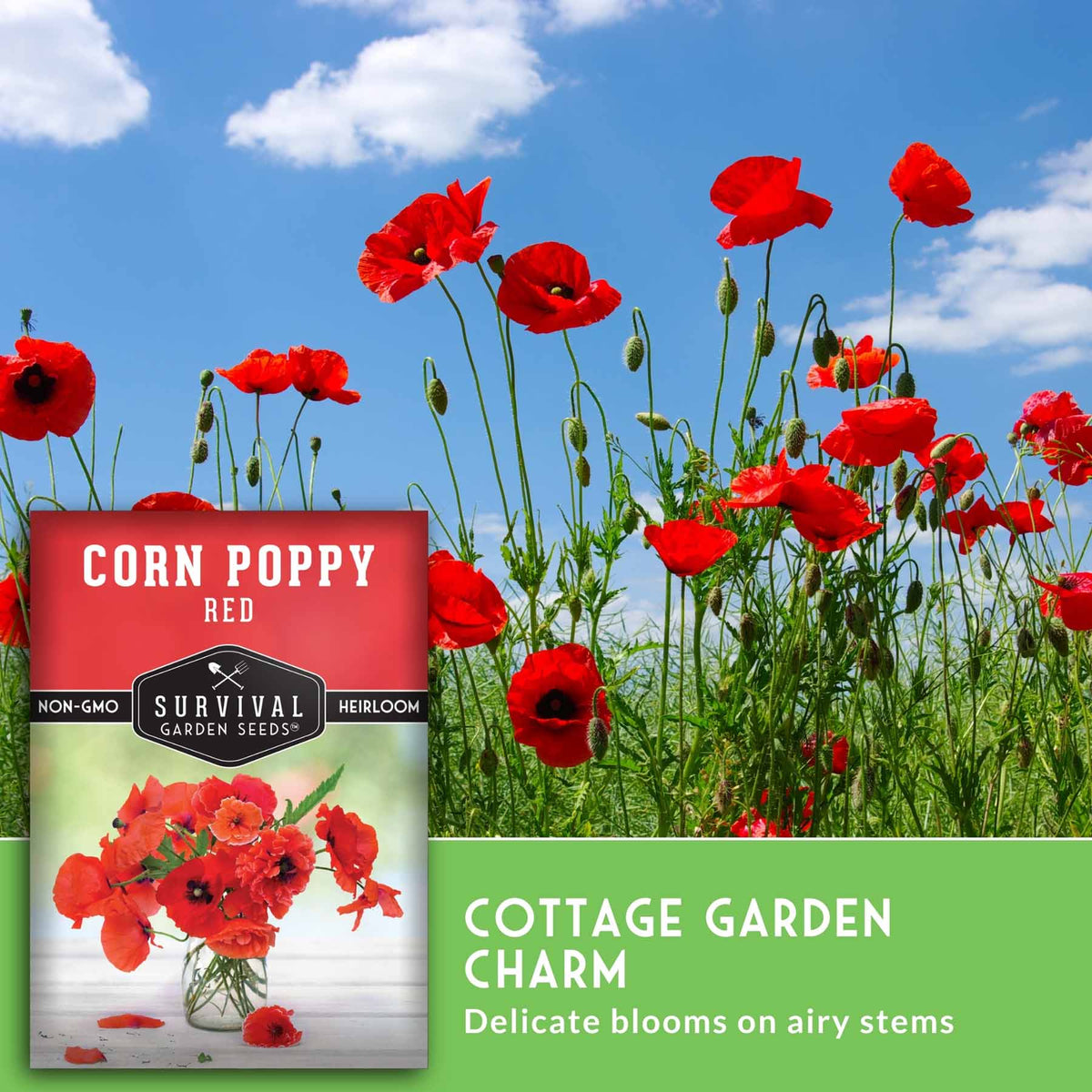 Red poppies under a blue sky with text that says Cottage Garden Charm