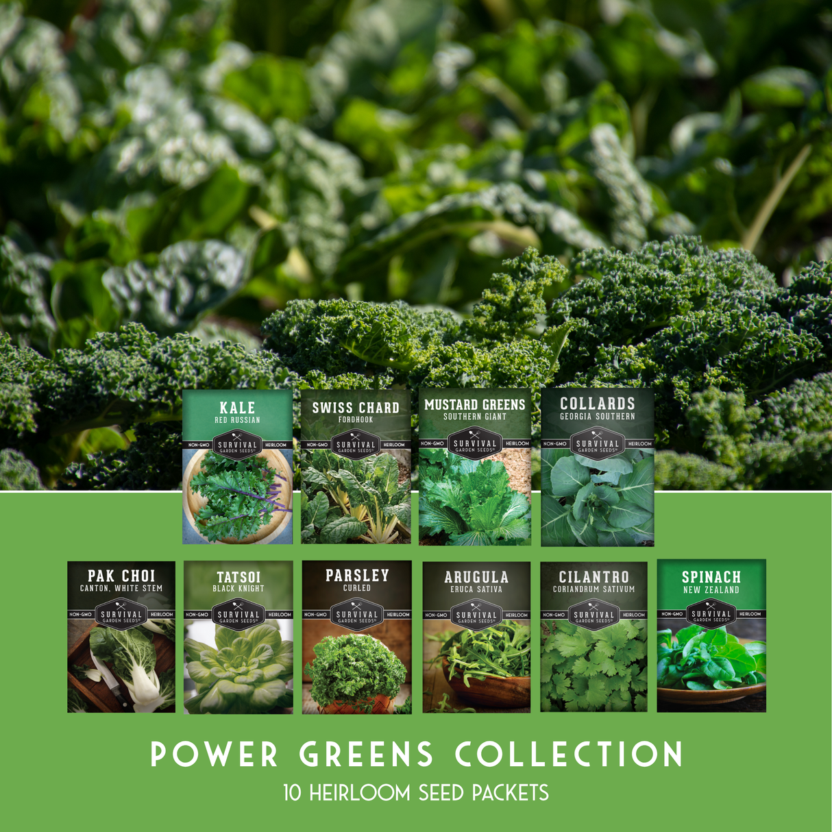 Collection of seed packets for various vegetables with a green background