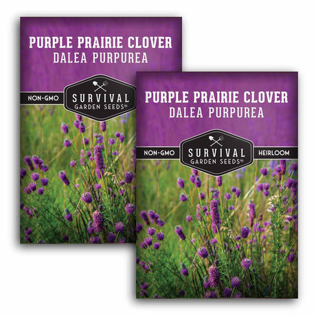 Two packages of Survival Garden Seeds Purple Prairie Clover Dalea Purpurea on a white background