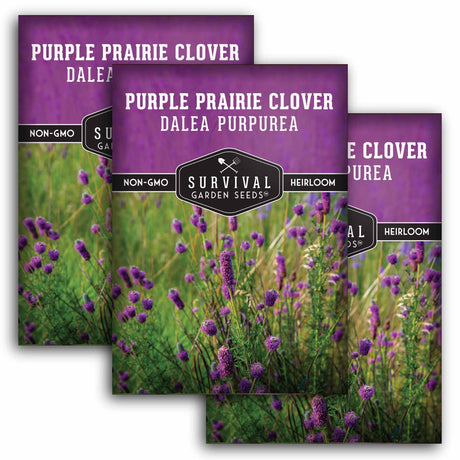 Three packages of Survival Garden Seeds Purple Prairie Clover Dalea with purple flowers and green grass.