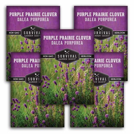 5 packages of Survival Garden Seeds Purple Prairie Clover with purple and green design.