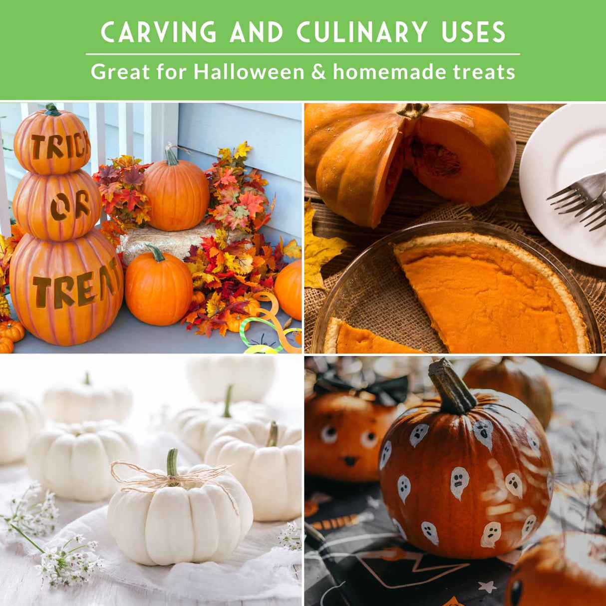 Collage of pumpkins for carving and culinary uses with text on a green background.