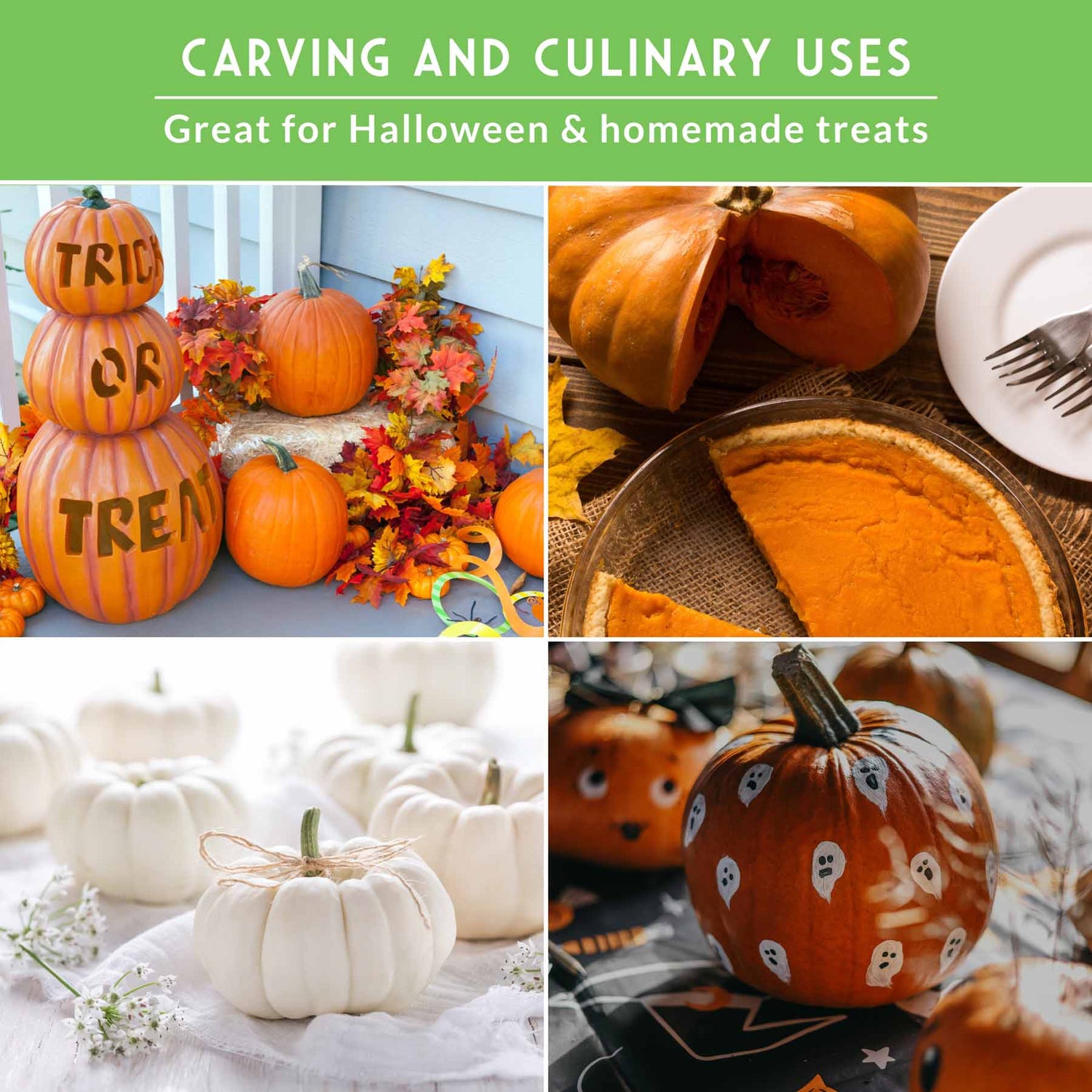Collage of pumpkins for carving and culinary uses with text on a green background.