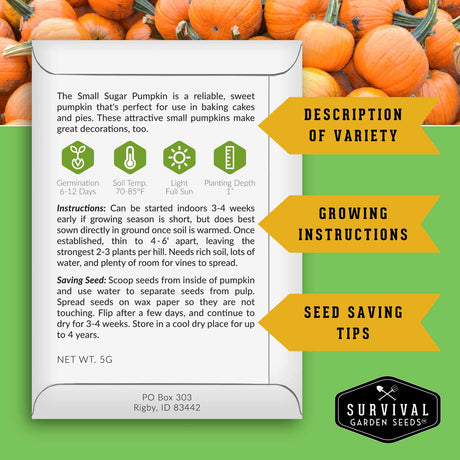 Survival Garden Seeds pumpkin seed packet with growing instructions and variety description on a green background with pumpkins.