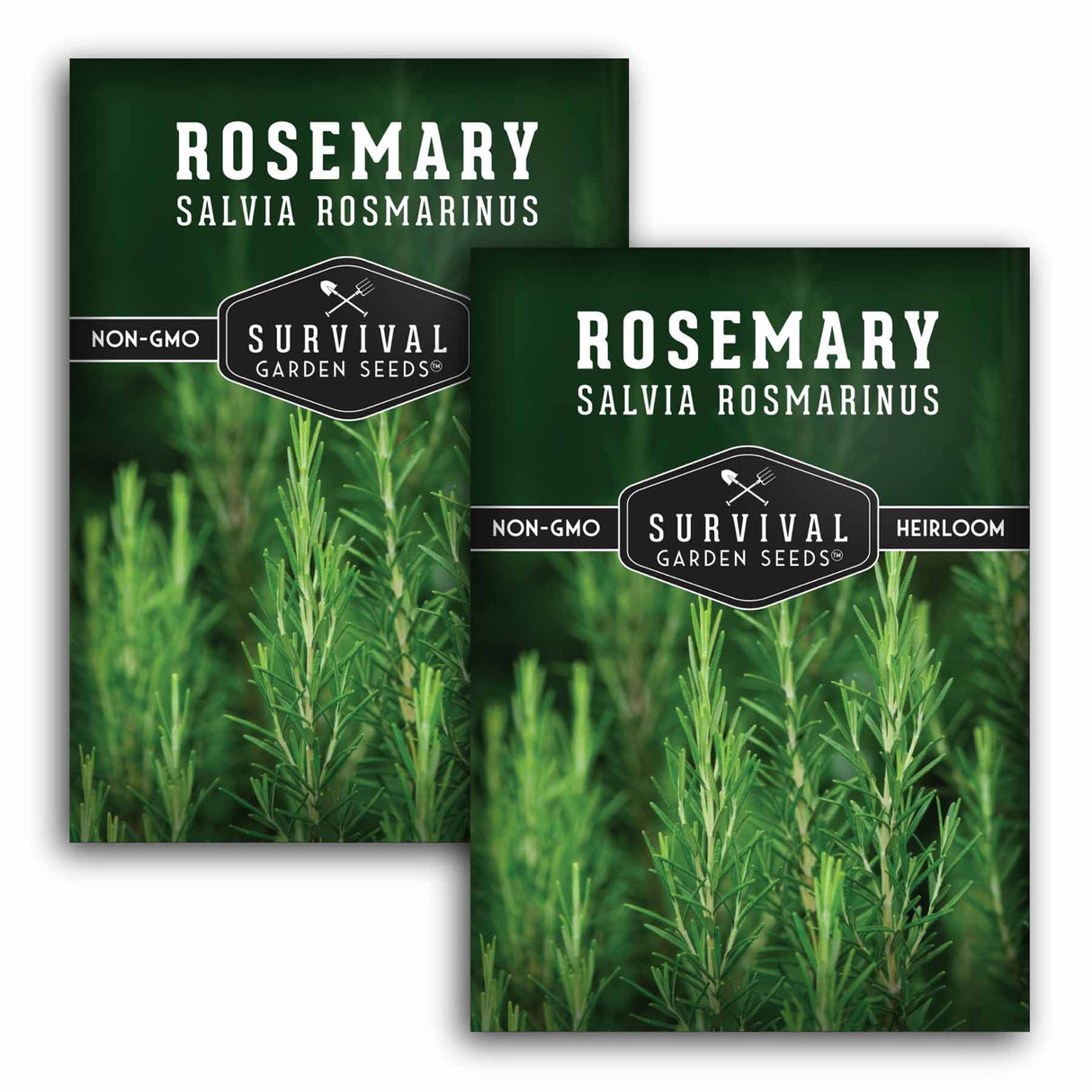 Two packages of Survival Garden Seeds Rosemary seeds with greenery in the background.