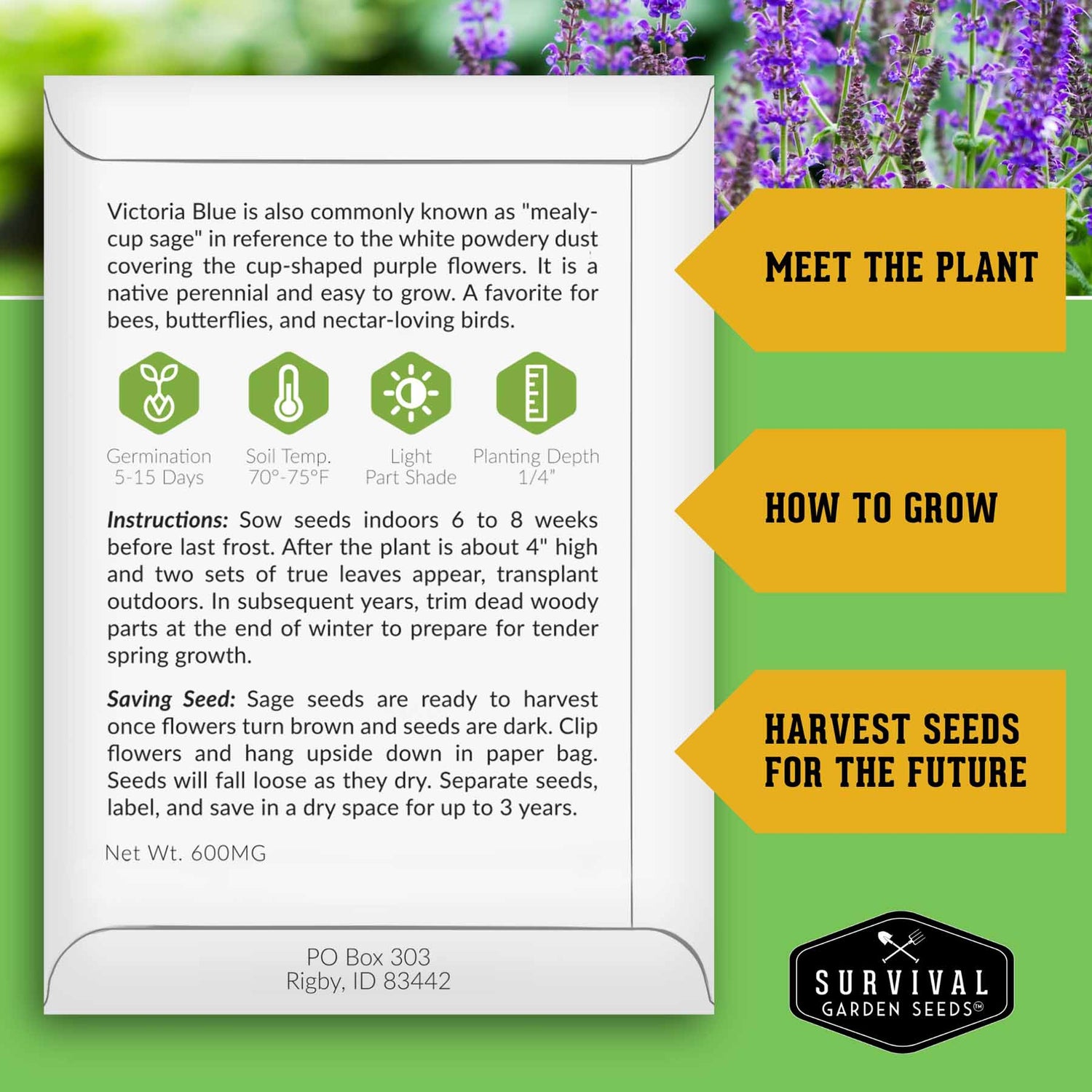 Survival Garden Seeds packaging for Victoria Blue sage with text and branding.