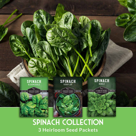 Spinach seed packets with fresh spinach leaves on a wooden surface