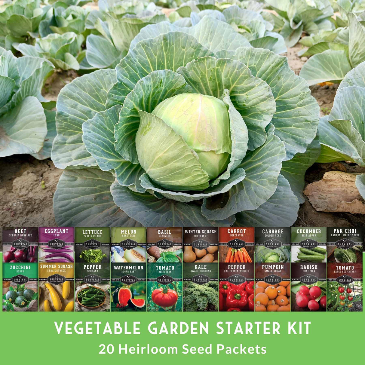 Cabbage with a variety of seed packets displayed below on a green background