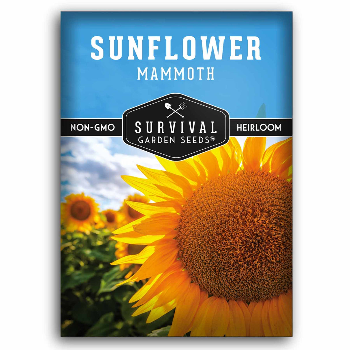 A package of Survival Garden Seeds 'Sunflower Mammoth' seeds, featuring a bright blue header and a large, detailed photograph of a sunflower on the front.