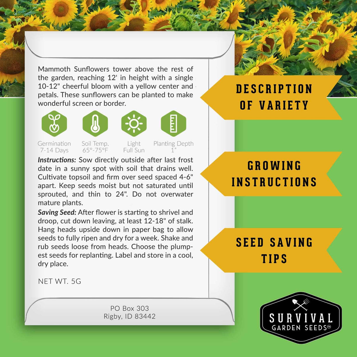A printed card with growing instructions and care information for Mammoth Sunflowers, shown over a background of sunflower blooms. The card includes a description of variety, growing instructions, seed saving tips, and the Survival Garden Seeds logo.