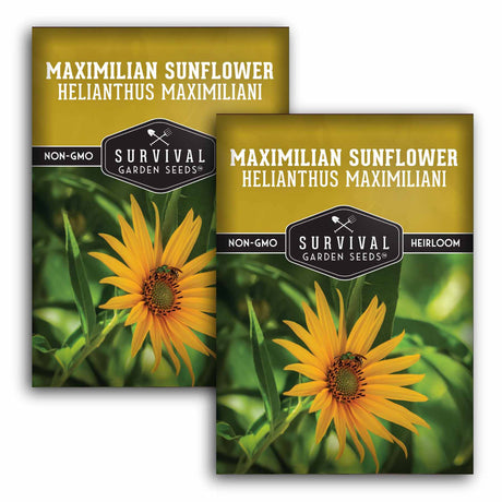 Two packages of Survival Garden Seeds Maximilian Sunflower with images of sunflowers on a white background.