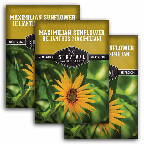 Three packages of Survival Garden Seeds Maximilian Sunflower with a sunflower image on a green background.