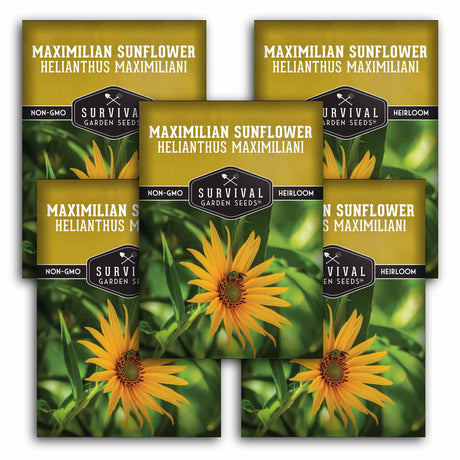5 Survival Garden Seeds Maximilian Sunflower packages with sunflower images and text.