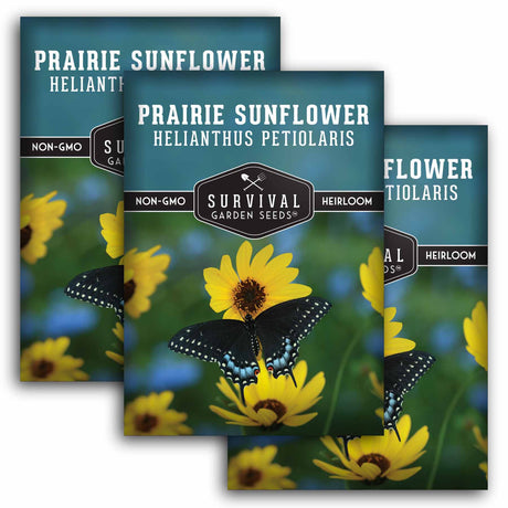 Three packages of Survival Garden Seeds Prairie Sunflower with a butterfly on a sunflower.