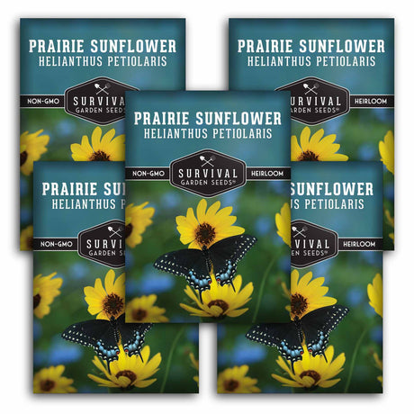 5 Survival Garden Seeds Prairie Sunflower packages with butterfly illustration on a green background