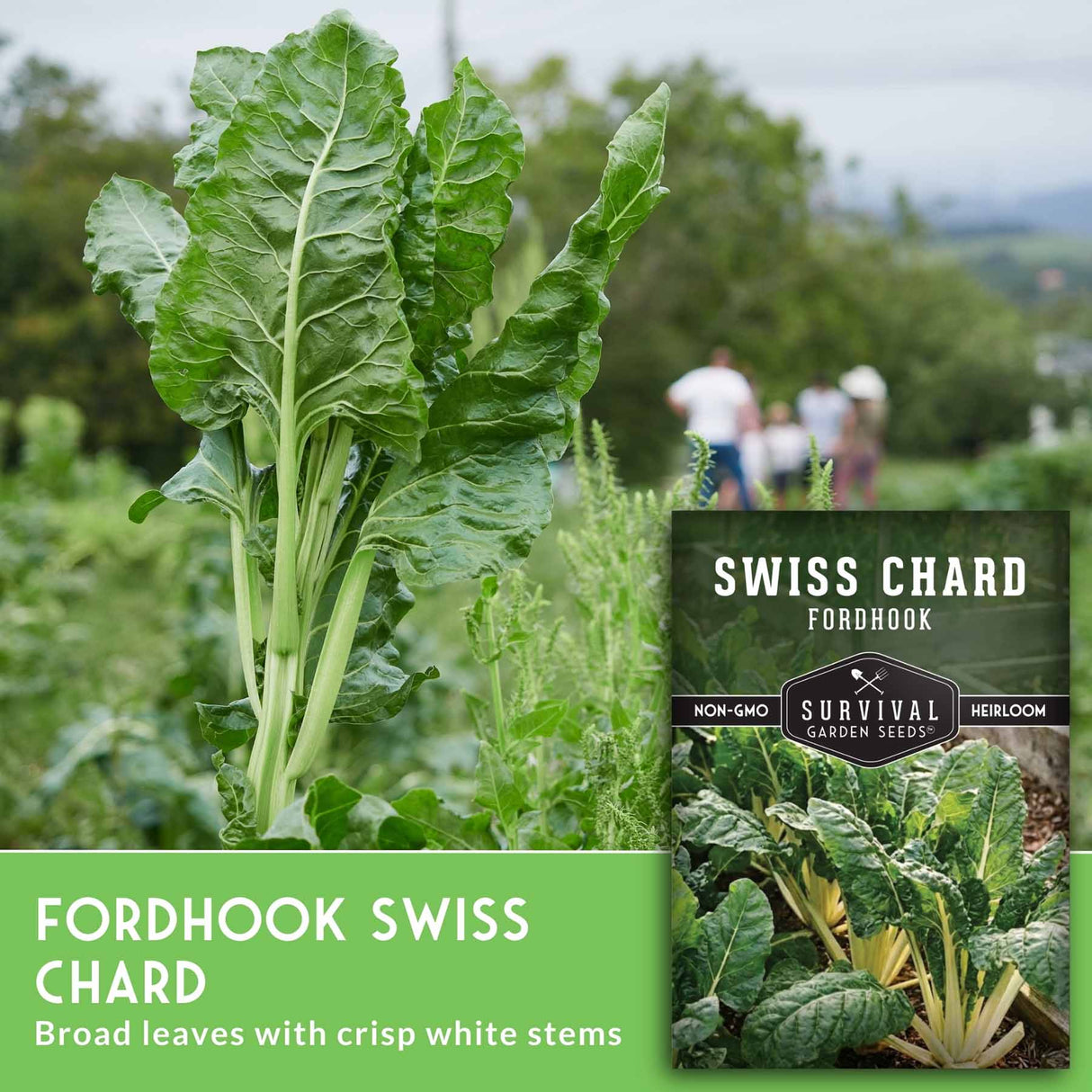 Fordhook Swiss Chard with Survival Garden Seeds packaging in a garden setting