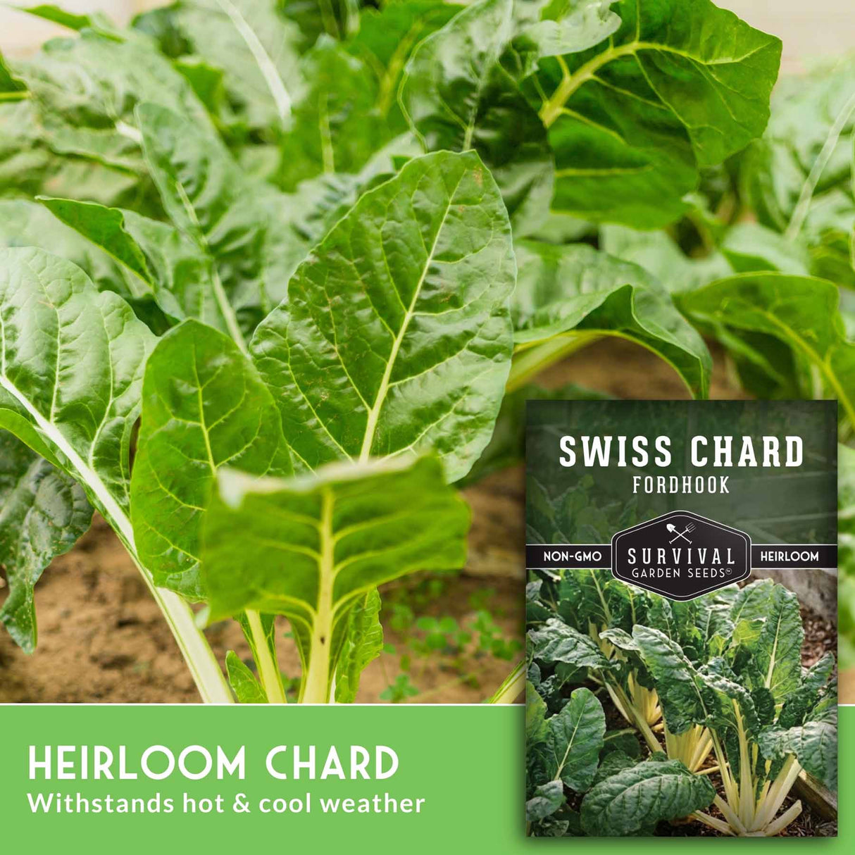Swiss chard plants with a seed packet labeled 'Survival Garden Seeds' on a green background.