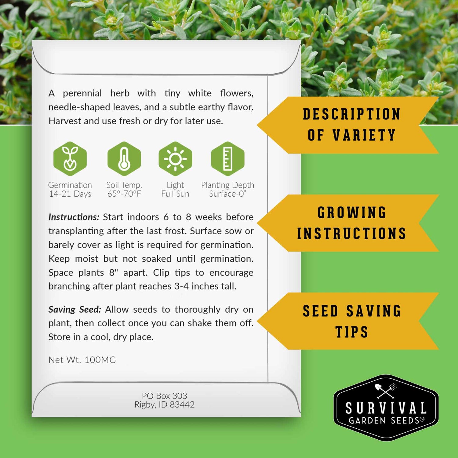 Seed packet with growing instructions and seed saving tips on a green background