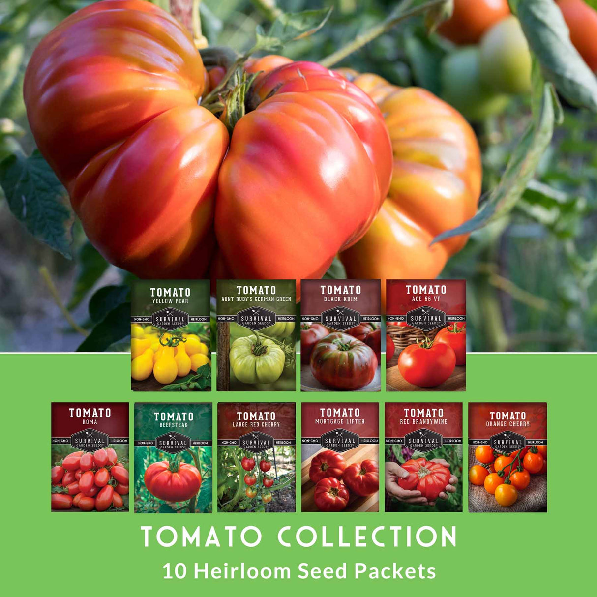10 tomato seed collection
