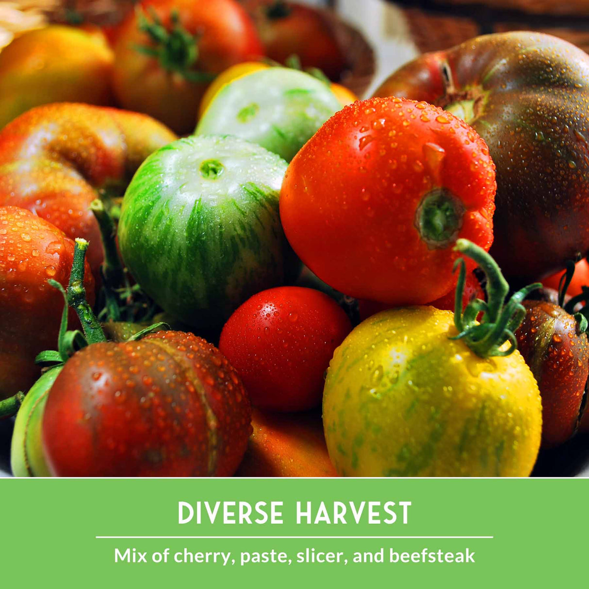 Assorted tomatoes including cherry, paste, slicer, and beefsteak with a green label reading 'Diverse Harvest'.