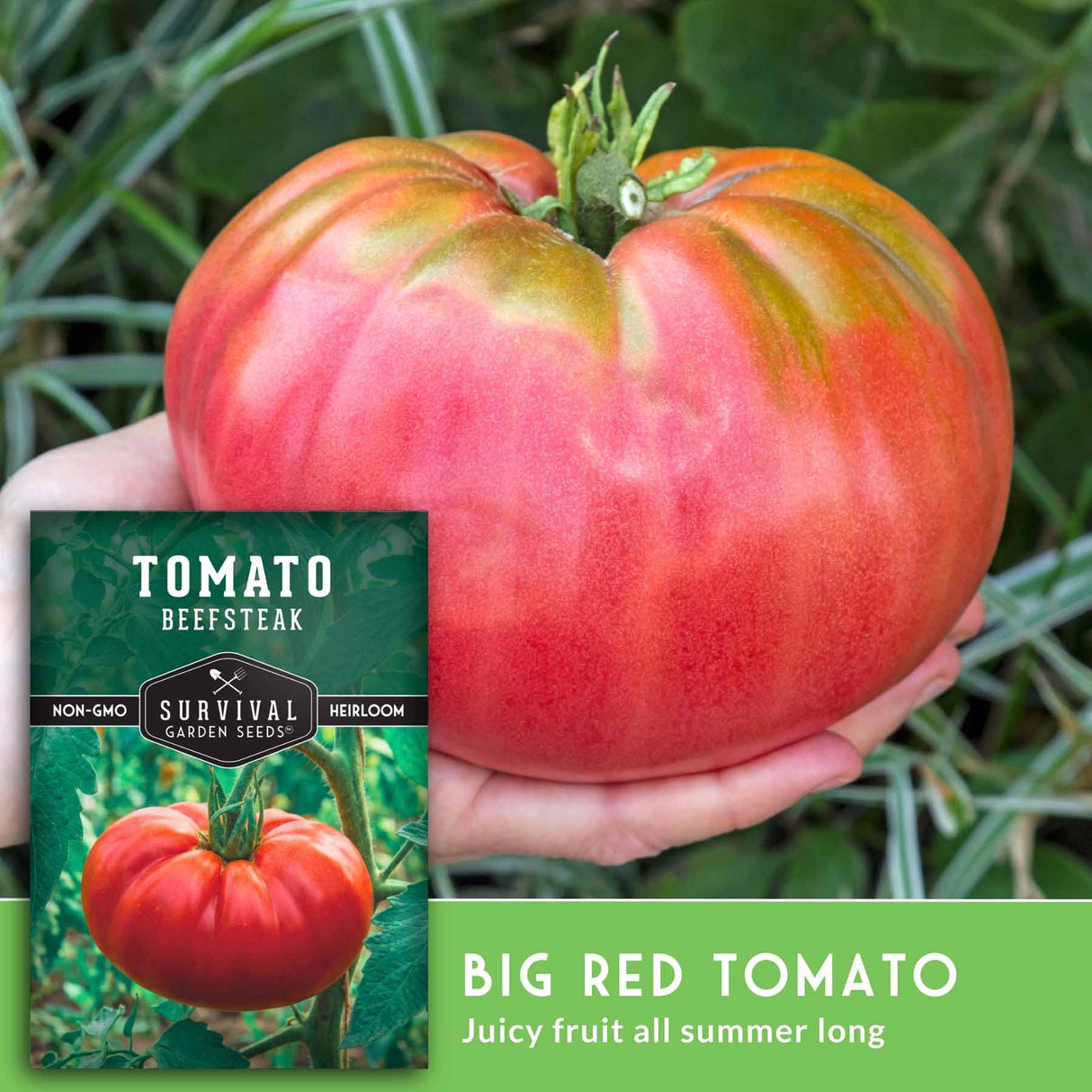 Hand holding a large red tomato with a seed packet labeled 'Tomato Beefsteak' in the background.