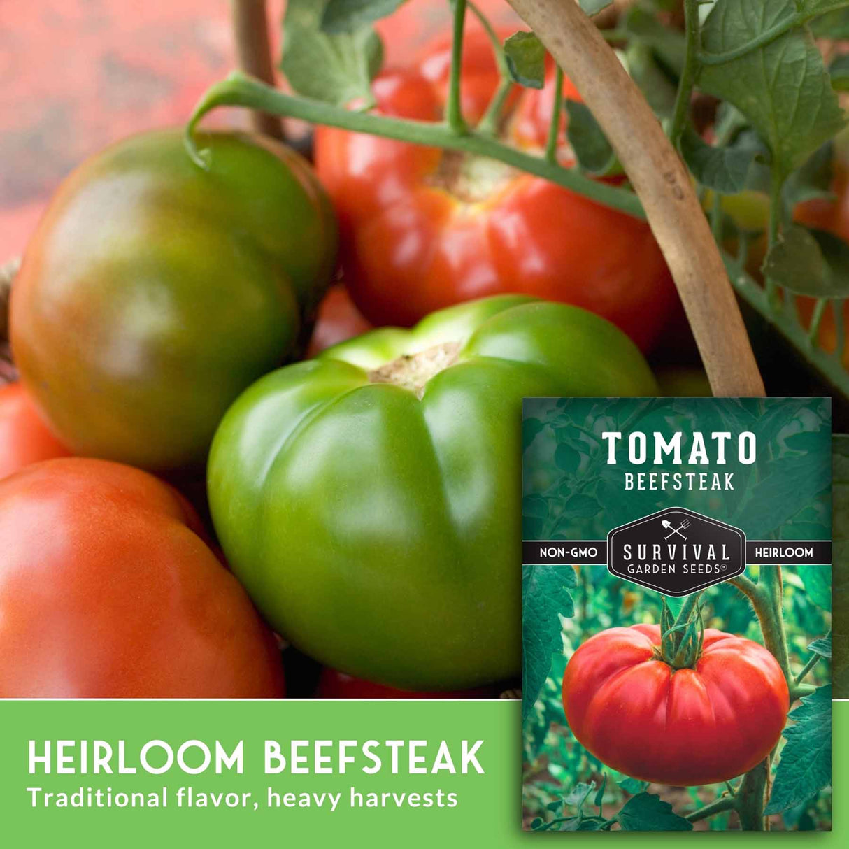 Heirloom Beefsteak tomatoes and green bell pepper with a seed packet on a red background