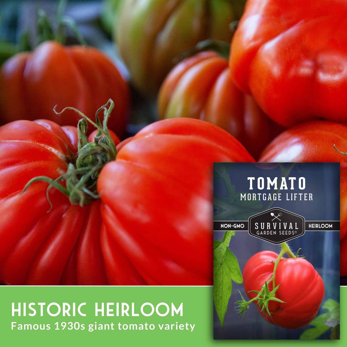 Tomato Mortgage Lifter with seed packet and text about historic heirloom variety