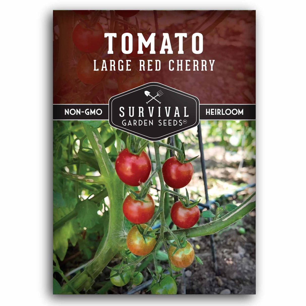 Survival Garden Seeds tomato seed packet with large red cherry tomatoes on a white background