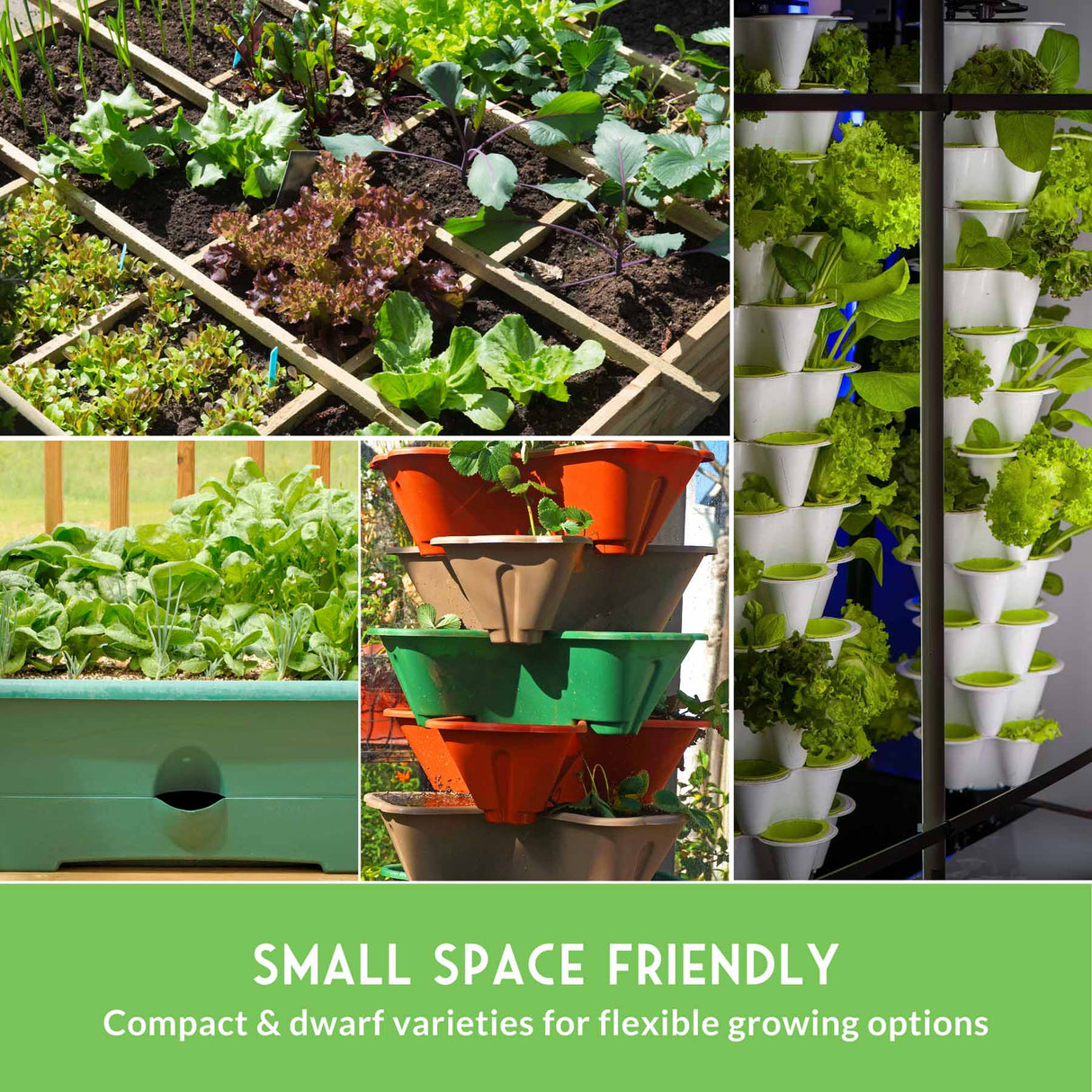 Collage of various small space gardening methods with text 'Small Space Friendly'.