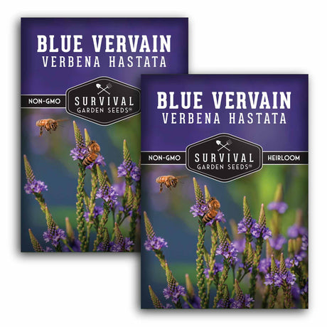 Two packages of Survival Garden Seeds Blue VervainVerbena Hastata on a white background