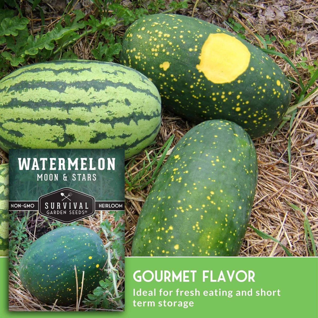 Watermelon and green gourd on grass with Moon & Stars seed packet.
