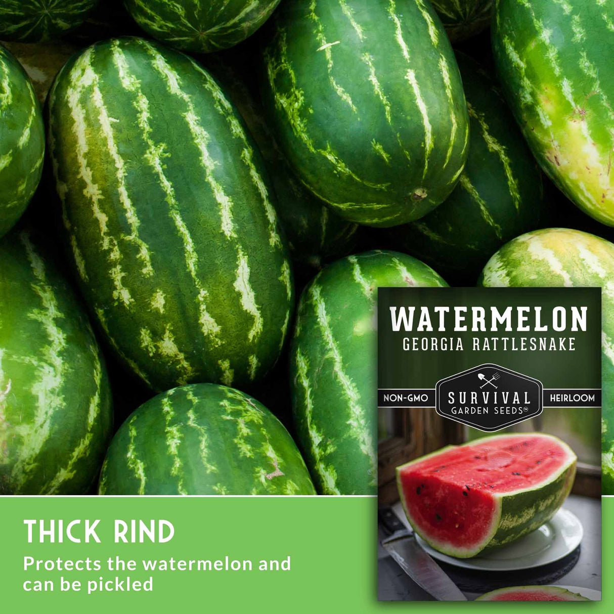 Stack of watermelons with a seed packet labeled 'Georgia Rattlesnake' from Survival Garden Seeds.