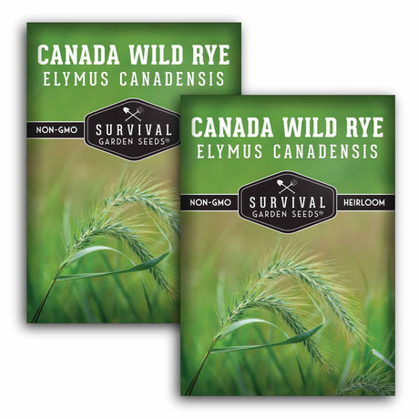 2 Packets of Canada Wild Rye seeds