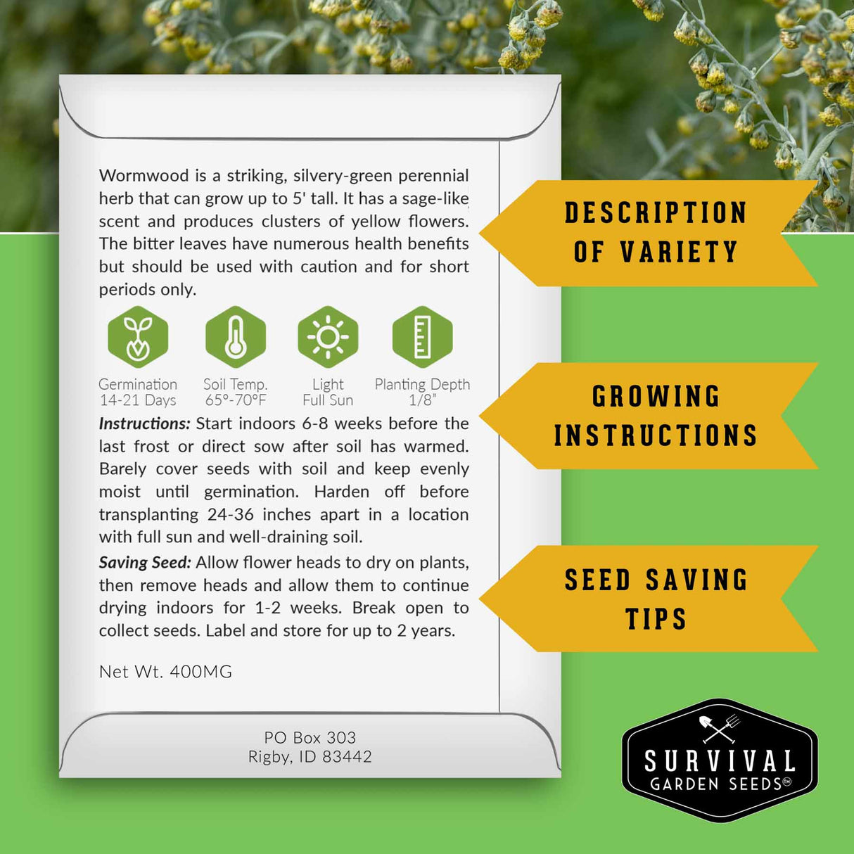 Survival Garden Seeds packaging with wormwood seed information on a green background